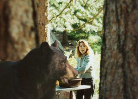 Laura Lavrack